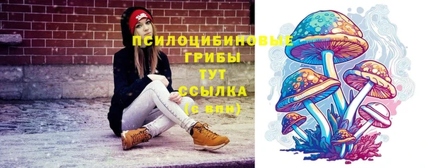 стаф Абинск