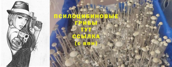 дмт Абдулино