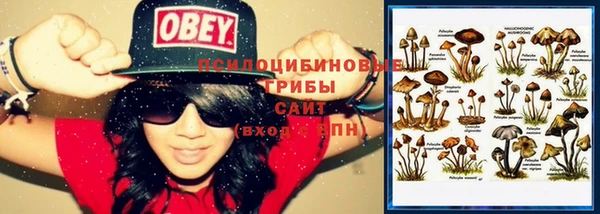 дмт Абдулино