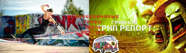 стаф Абинск